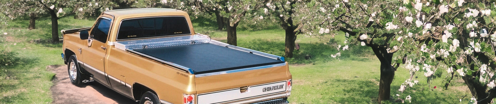 Chevy C/K Pickup Accessories, Custom Mods & Aftermarket Upgrades - NAPA Auto Parts