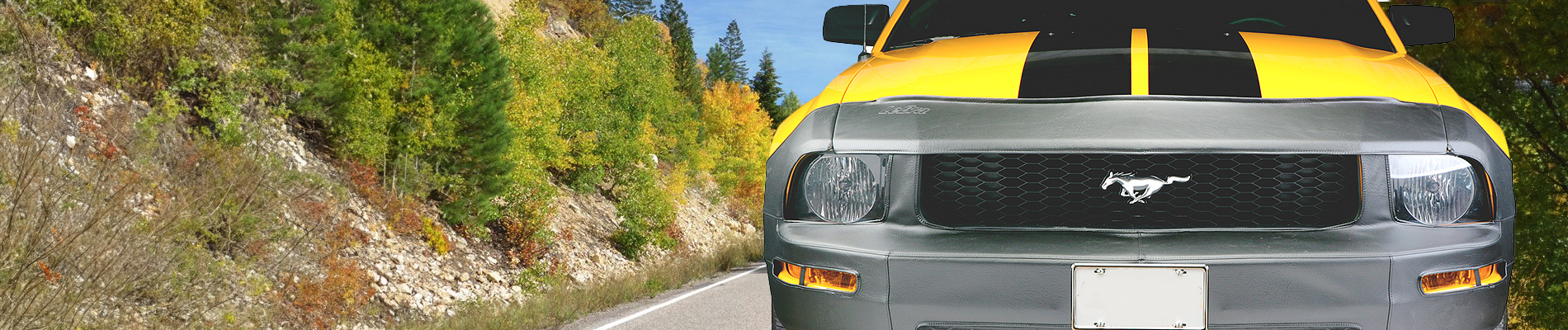 Ford Mustang Accessories, Custom Mods & Aftermarket Upgrades - NAPA Auto Parts